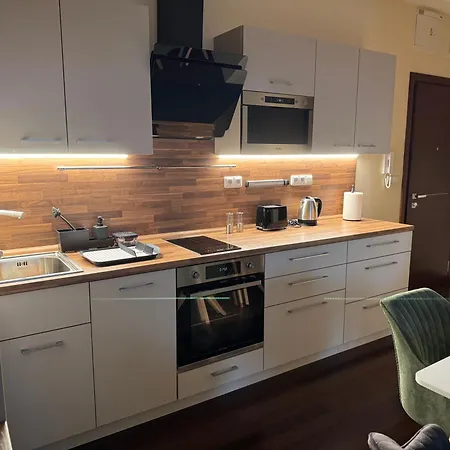 Apartment Moser - Sauna And Pool Karlovy Vary